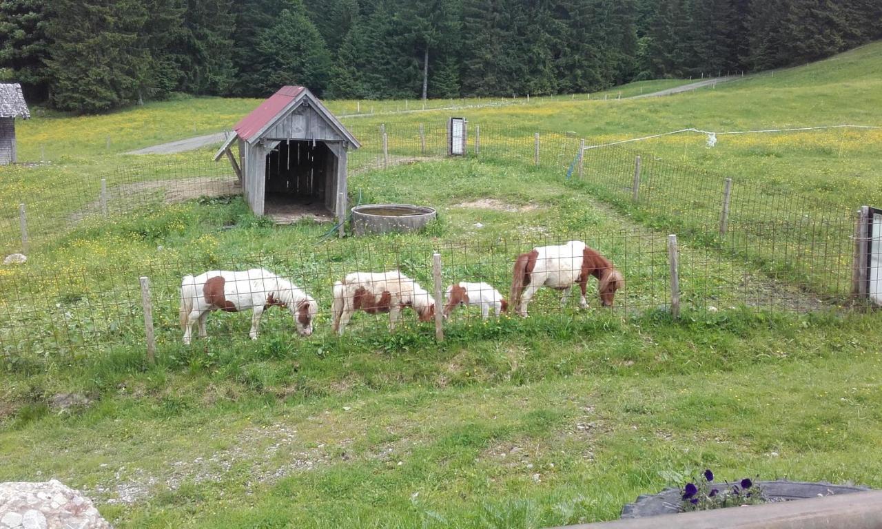 ヒッティザウ Jausenstation Neuschwandヴィラ エクステリア 写真